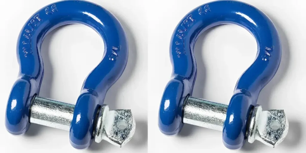 D shackle bow shackle manufacturers in India